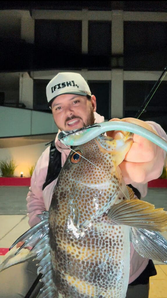 Daniel holding a Spotted Bay Bass with a 6" RX Slug in Don Julio 70.