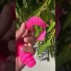 RX Dragon Tail and RX Skeleton Craw – Flamingo