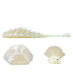 [FISH]rx RX Dragon Tail in Pearl, 3.25" — handcrafted soft plastic bait for SoCal inshore bass