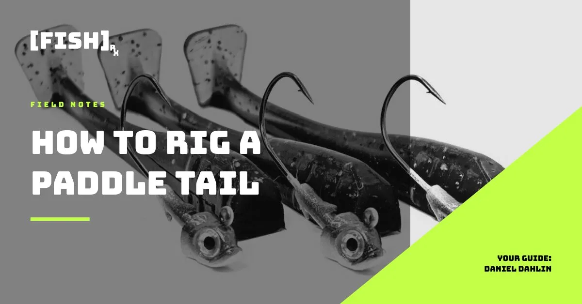 How to Rig a Paddle Tail for SoCal Inshore Bass