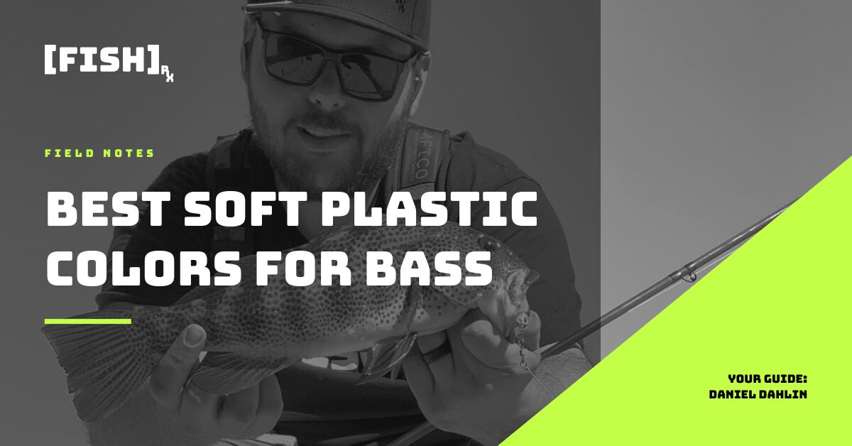 Best Soft Plastic Colors for SoCal Saltwater Bass