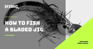 A Cheapskate bladed jig rigged with a RX slug trailer. A text overlay reads How to Fish a Bladed Jig and has the [FISH]rx logo.