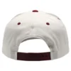 FRXHAT-SNP2T-CRM-BRG BACK