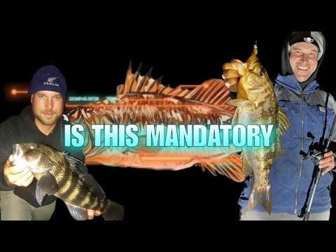 Ep. 1: Shannon of Sudden Impact on the Winter Bite & Cold Water Bass