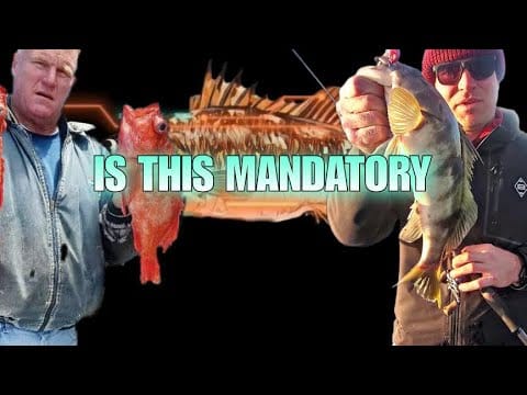 Ep. 11: Bill & Shannon of Sudden Impact on Burn-Pause and Sierra Trout