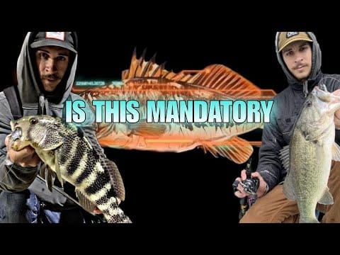 Ep. 12: Nate Stilinovich on Local Water Breakdown & Depth by Species