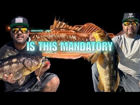 Ep. 8: Gary Reyes of Reyes Swimbaits on Custom Baits & Big Calico