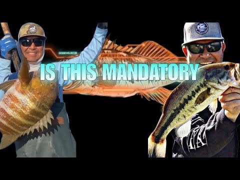 Ep. 9: Marc Higashi of Performance Tackle on Rods, Gear & the Local Fishing Community