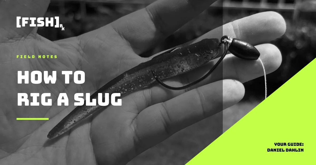 How to Rig a Slug for SoCal Inshore Bass