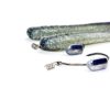 RX Belly Weight + RX Slug in Cosmic Shad 3