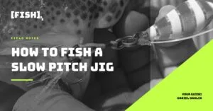 [FISH]rx – Field Notes – How to Fish a Slow Pitch Jig for SoCal Harbor Bass