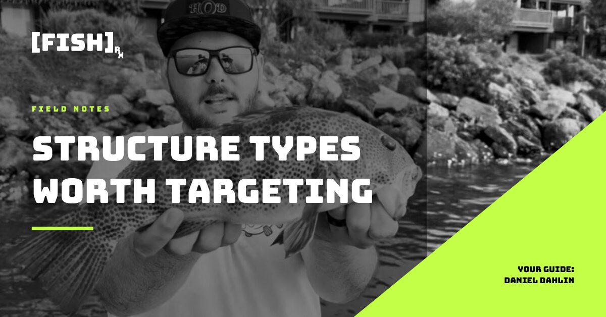 SoCal Inshore Fishing Spots: Types of Structure Worth Targeting
