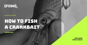 [FISH]rx – Field Notes – T3-2 How to Fish a Crankbait for SoCal Inshore Bass