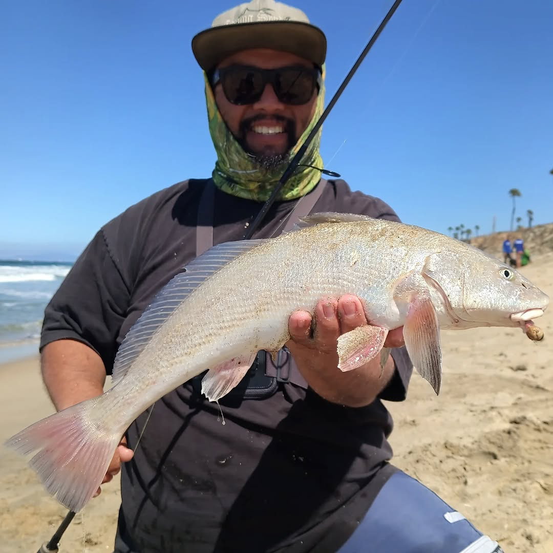 Corbina Fishing in SoCal with Drew Navarro of Top Notch Leadheads