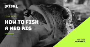 [FISH]rx – Field Notes – T1-7 How to Fish a Ned Rig for SoCal Inshore Bass