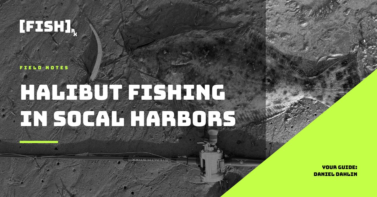 Halibut Fishing in SoCal Harbors