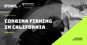 [FISH]rx – Field Notes – T2-13 Corbina Fishing in Southern California