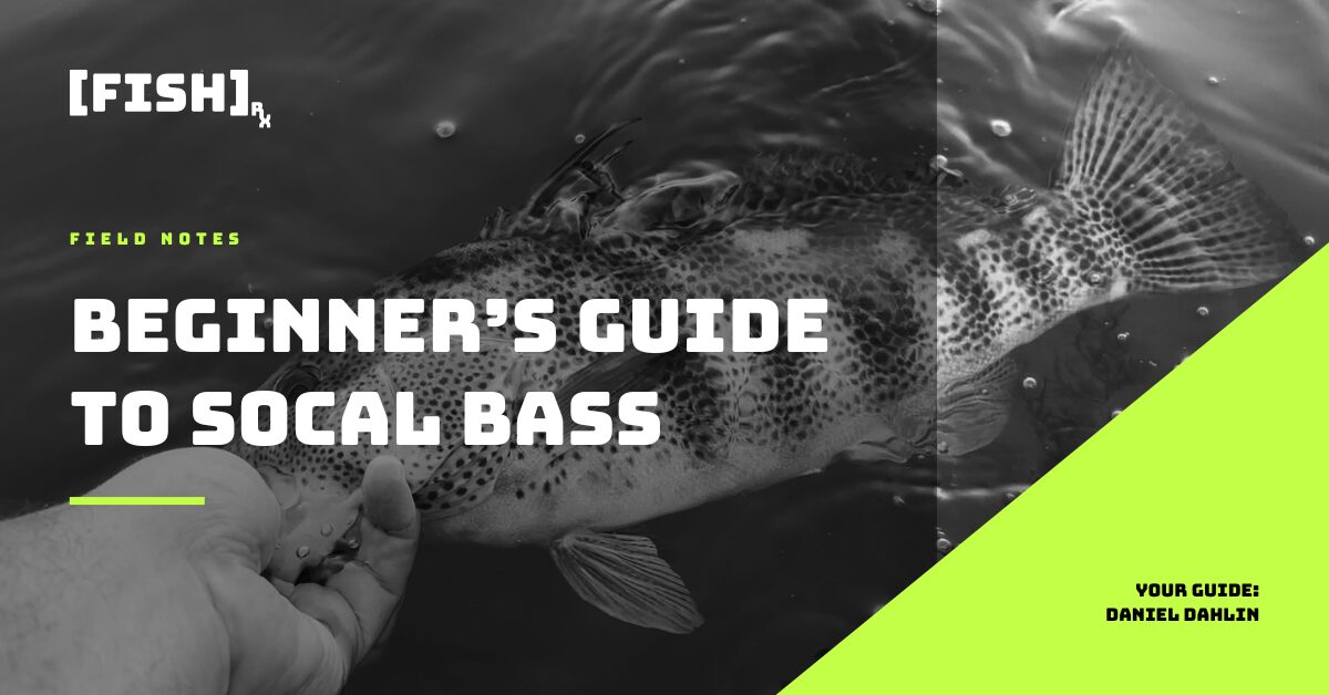 Beginner’s Guide to SoCal Inshore Saltwater Bass Fishing