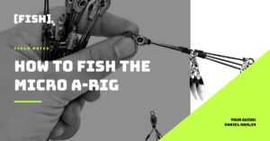 [FISH]rx – Field Notes – T2-9 How to Fish the A-Rig and C-Rig for SoCal Inshore Bass