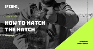 [FISH]rx – Field Notes – T2-6 How to Match the Hatch for SoCal Inshore Bass