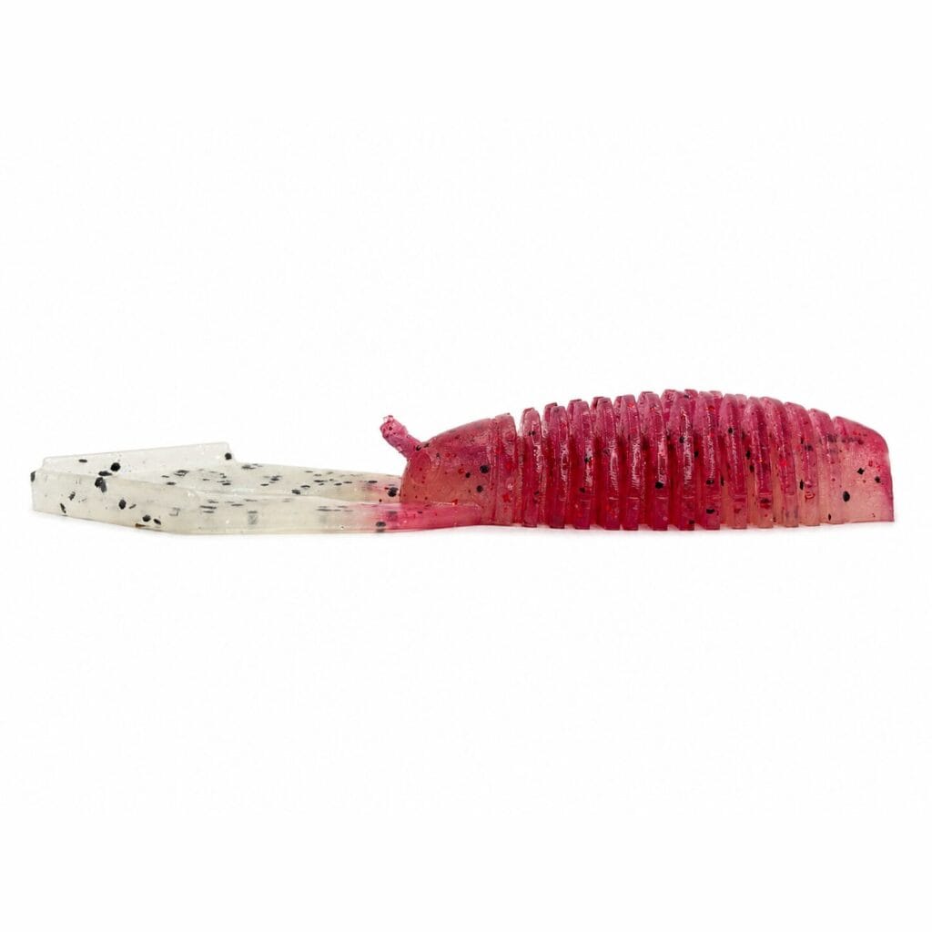 RX Skeleton Craw – Squid